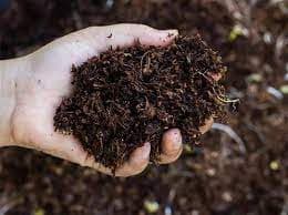 organic fertilizer vs chemical fertilizer