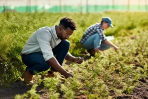 how to be successful in the agriculture industry