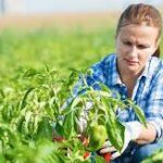 how to be successful in the agriculture